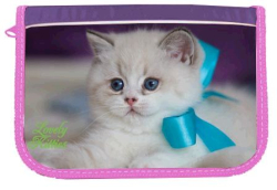 Пенал 1-яр.,пустий,"Fancy Kitten", 210/70D PL, 98004, CLASS