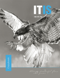 Фото - Тетрадь А5/144 пл.обл. Bird fly YES 41121 Фото - Тетрадь А5/144 пл.обл. Bird fly YES 41121