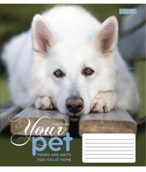 Фото - А5/48 кл. 1В Dog loyality, зошит для записів 57699