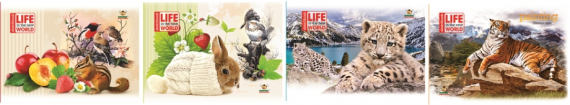 Фото - Альбом 2016 А5, клеєний,  70г, 20аркушів, обкл.крейд.150г (уп.80) 30671 Фото - Альбом 2016 А5, клеєний,  70г, 20аркушів, обкл.крейд.150г (уп.80) 30671